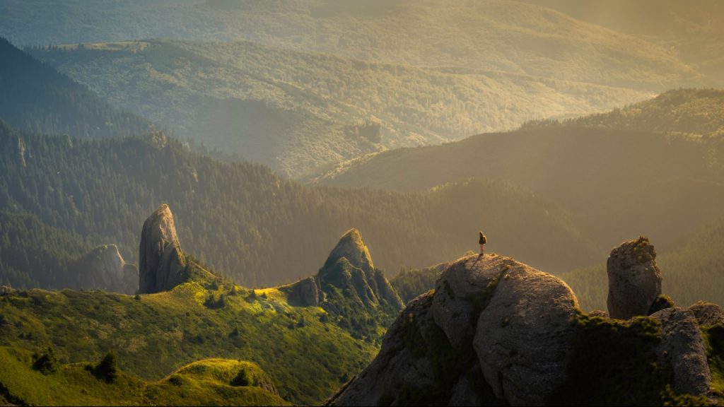 person standing on mountain overlooking forest