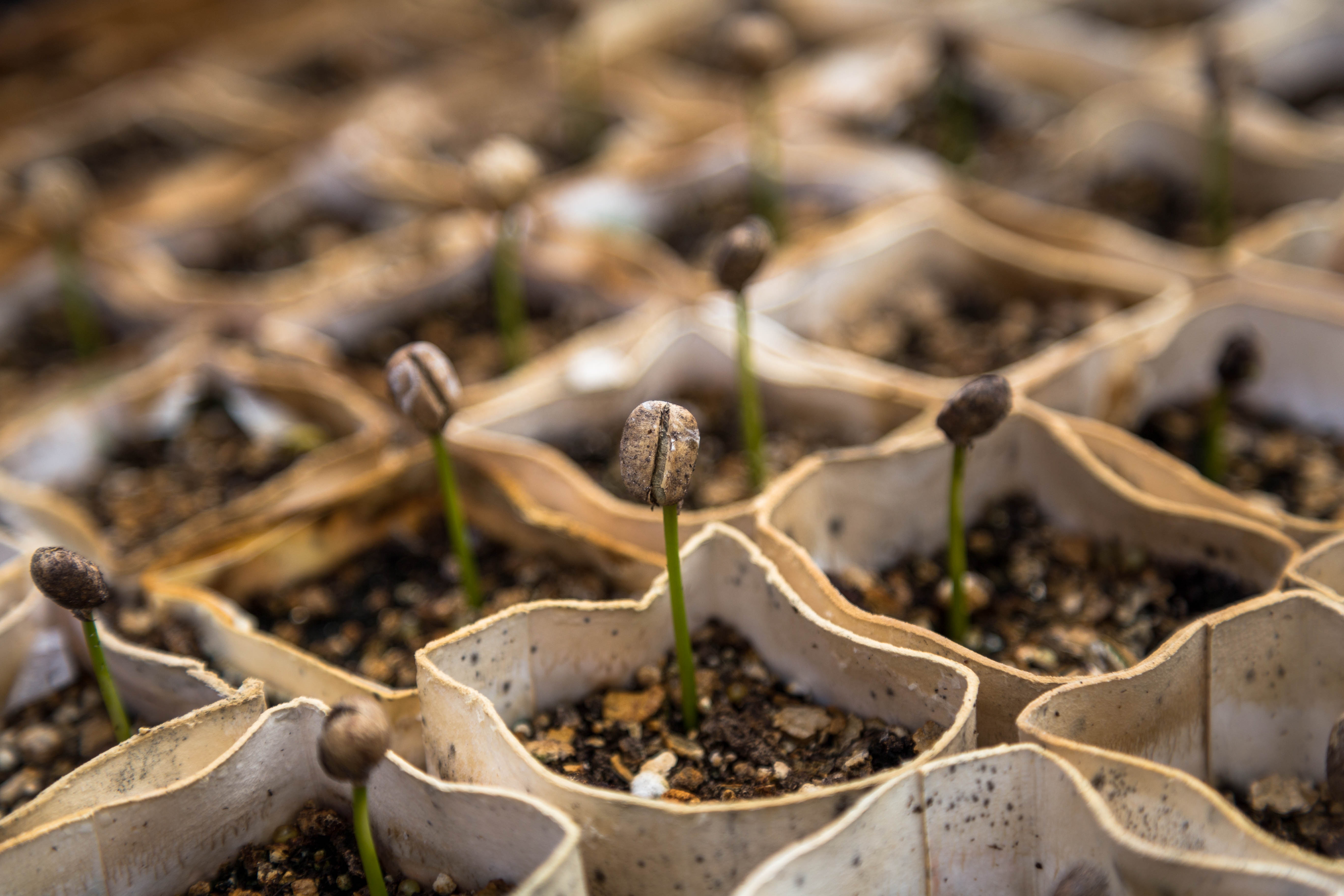 Not-Single Insight No. 3: You Reap What You Sow