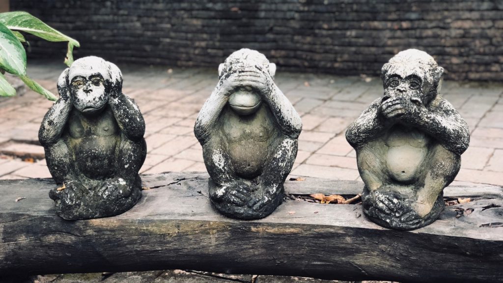 Wise monkeys