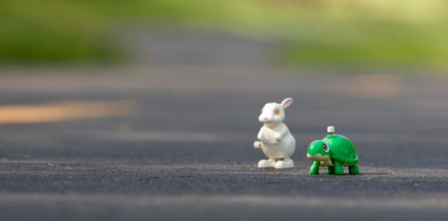 toy bunny and turtle on paved path