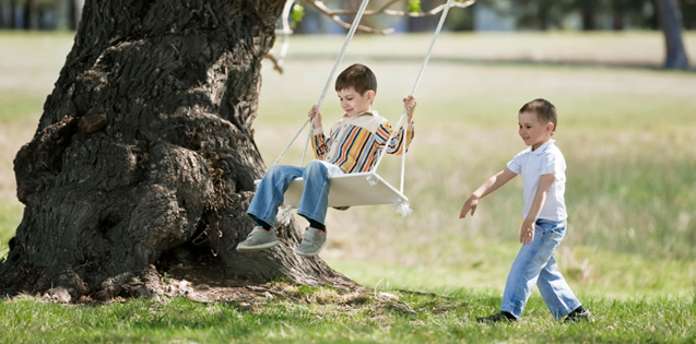 child pushing another child on tree swing