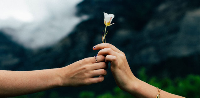 person handing another person a flower