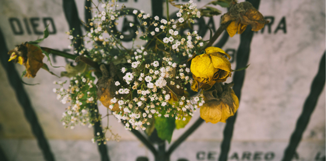 flowers sitting on a grave