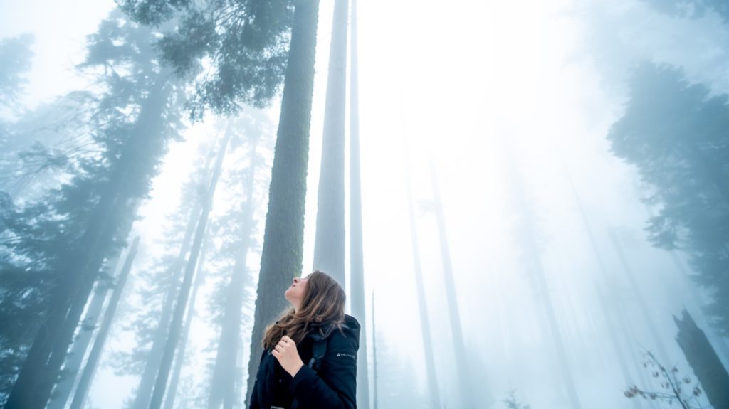 woman in forest