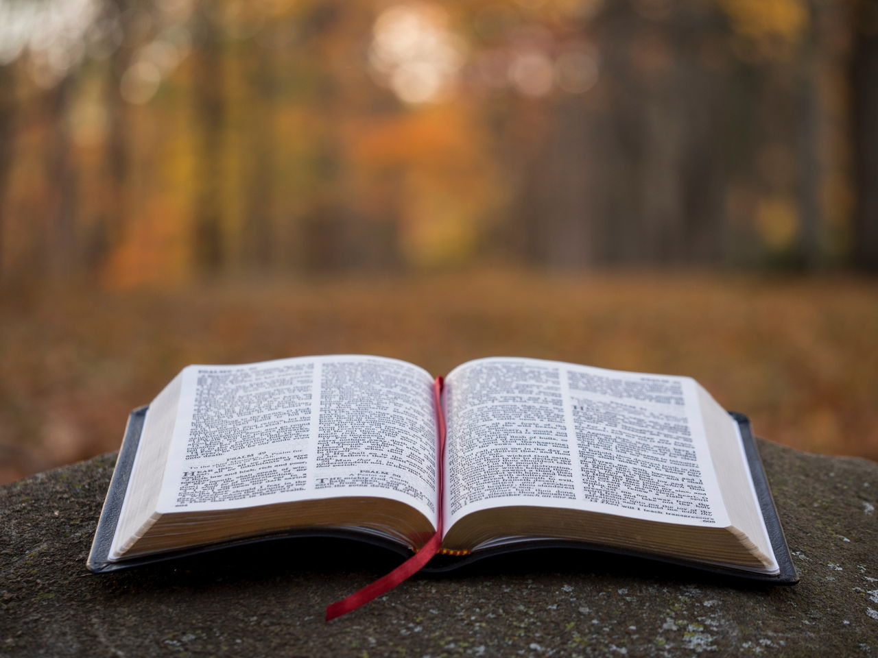 Love vs. Legalism: The Bible Is Not a Rule Book