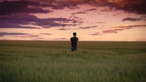 man standing in field during sunset