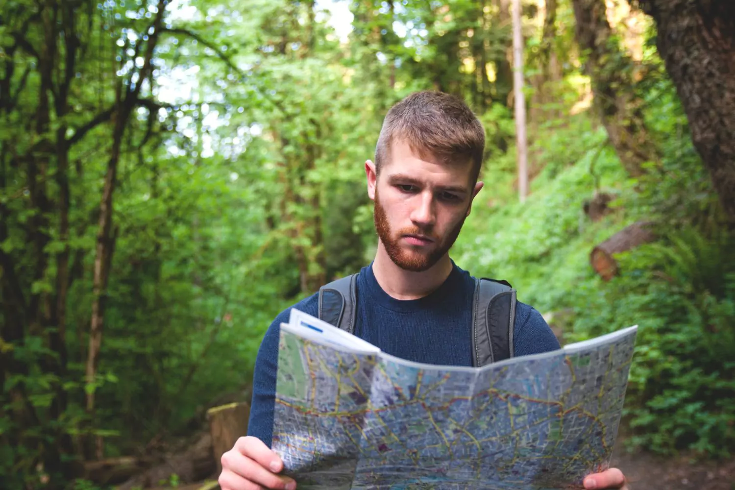 young man reading a map in a forrest
