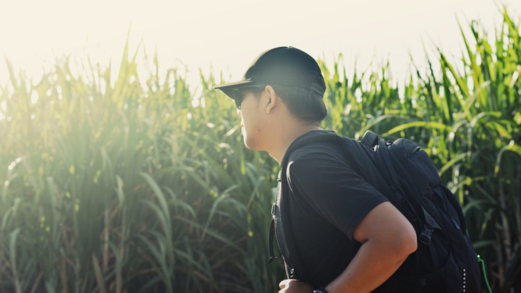 man in field