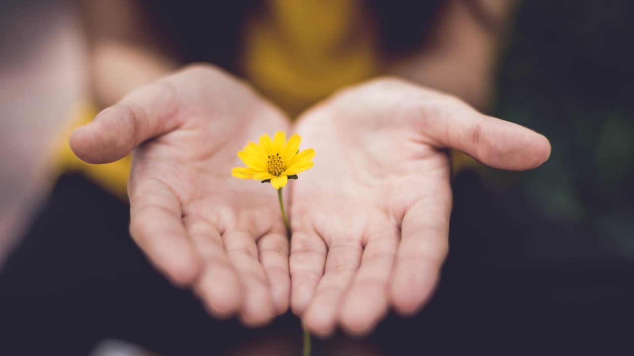 Hope in the Midst of Coronavirus