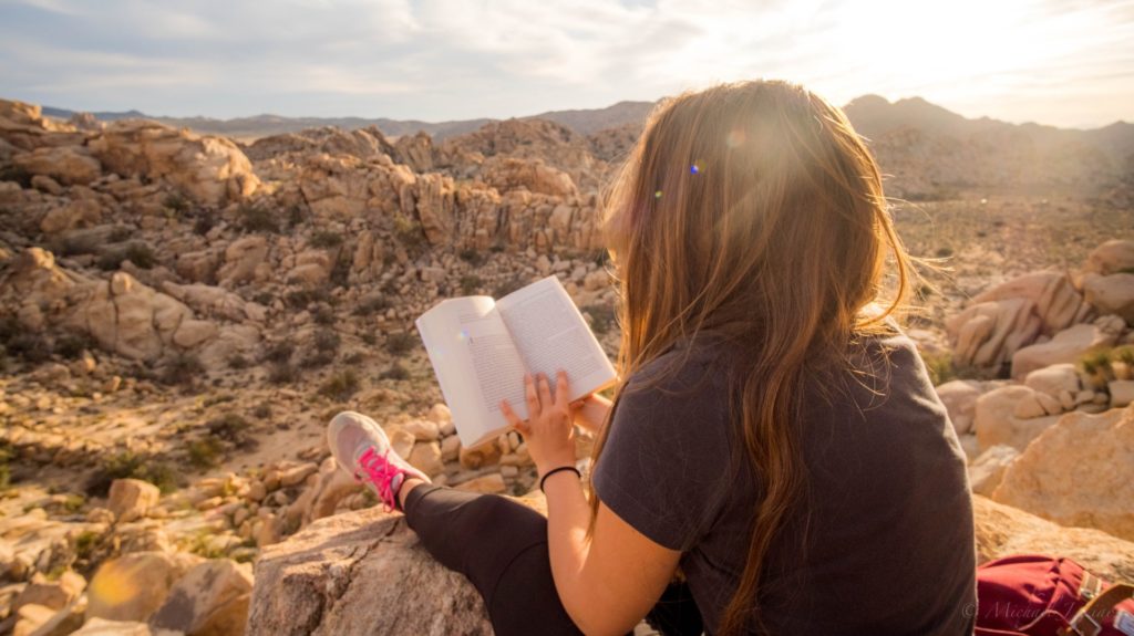 woman reading a book