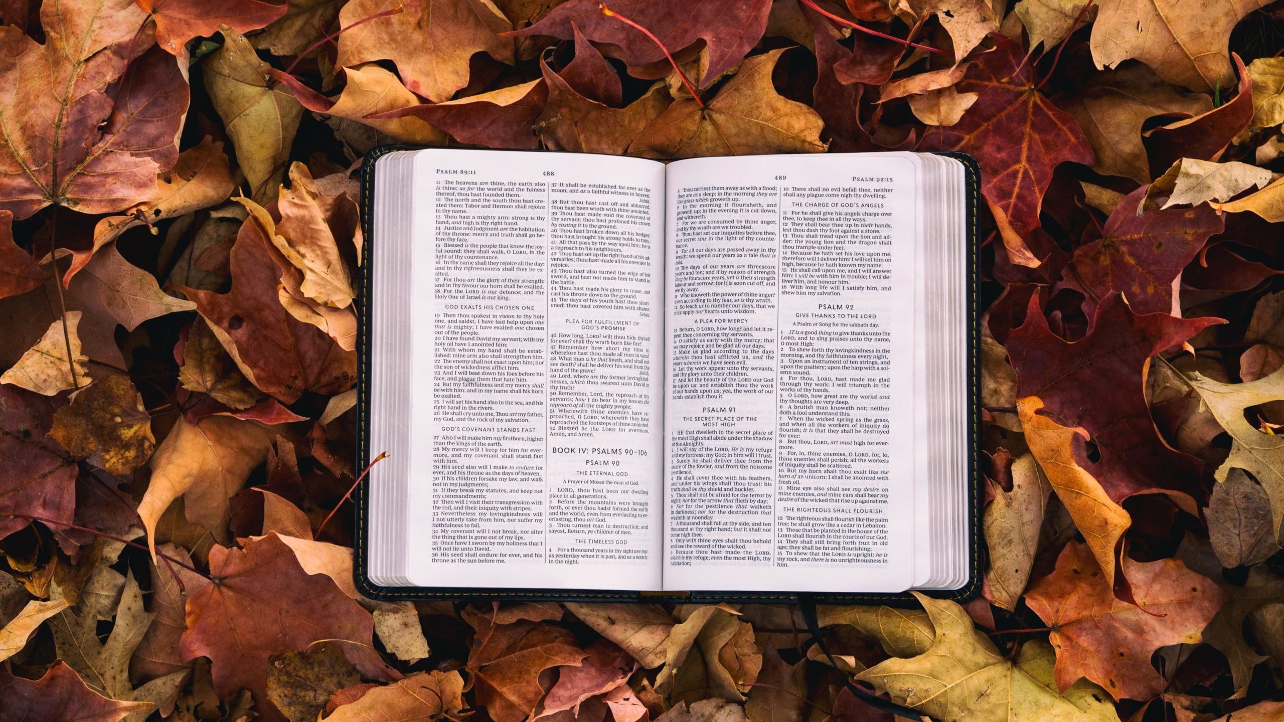 The Early Part of Autumn