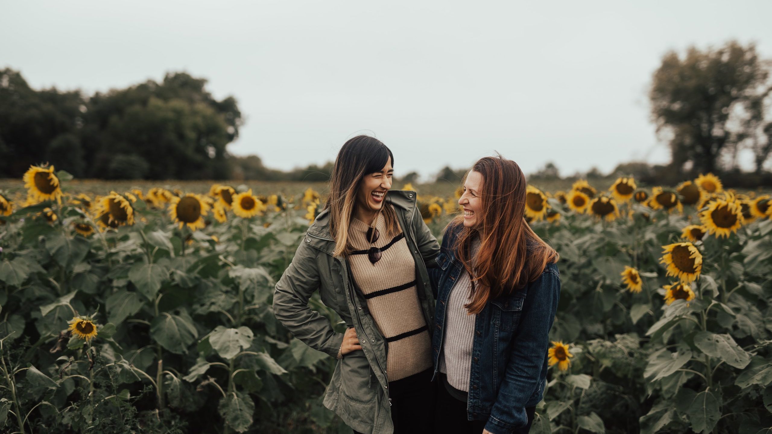 Face-to-Face Friendship