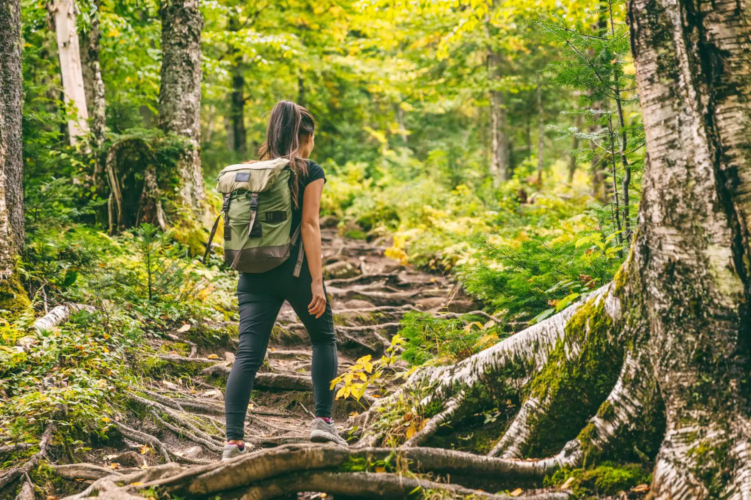 woman hiking doing whatever it takes to get to the top