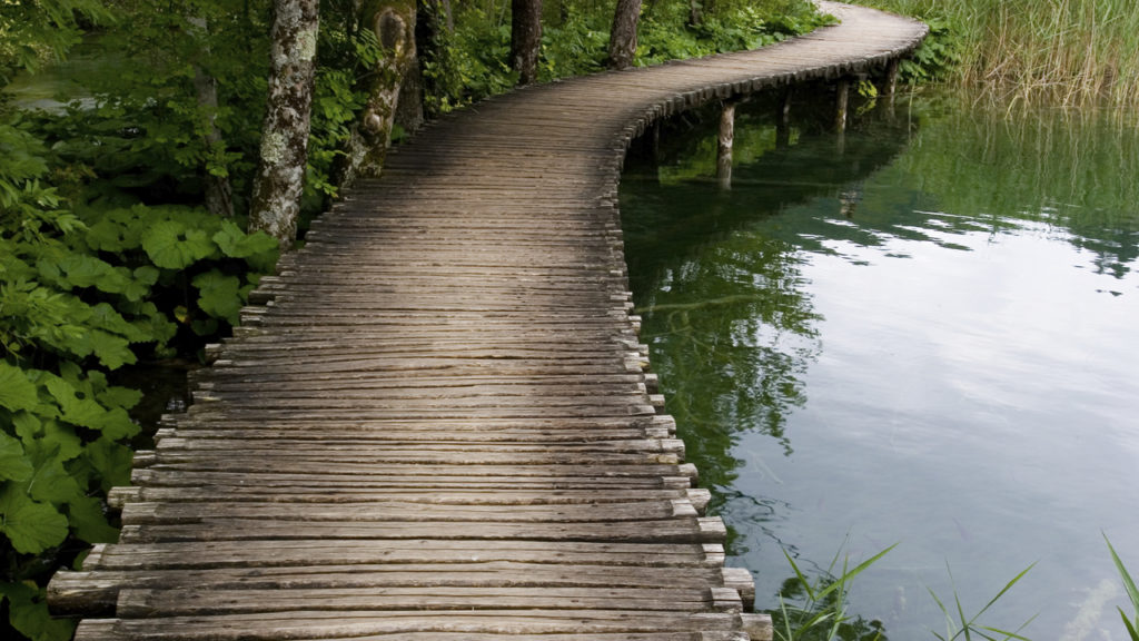 bridge by lake